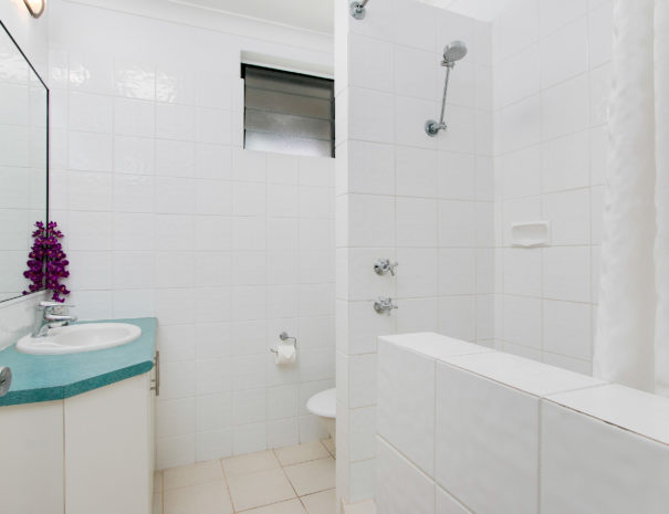 One Bedroom Apartment